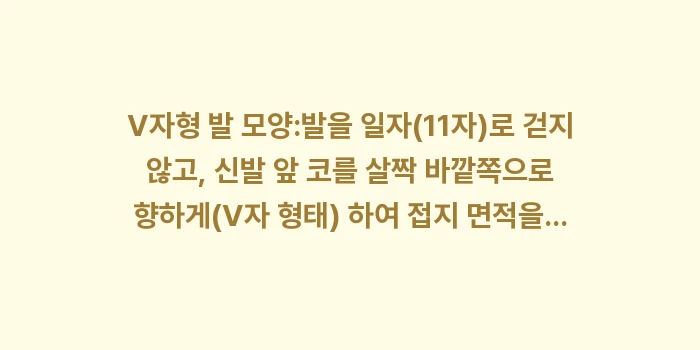 삿포로 2월 날씨 눈길 걷는 법: V자형 발 모양:발을 일자(... (1)