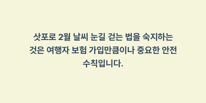 삿포로 2월 날씨 눈길 걷는 법: 삿포로 2월 날씨 눈길 걷는... (2)