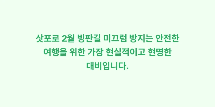 삿포로 2월 빙판길 미끄럼 방지: 삿포로 2월 빙판길 미끄럼... (1)