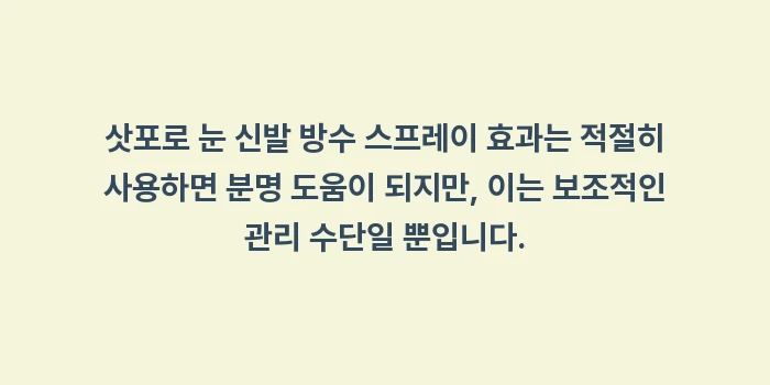 삿포로 눈 신발 방수 스프레이 효과: 삿포로 눈 신발 방수 스프레... (1)
