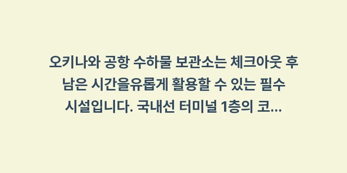오키나와 공항 수하물 보관소: 오키나와 공항 수하물 보관소... (1)
