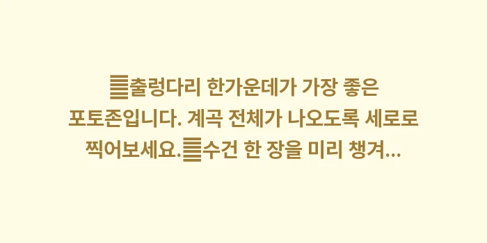 일본 아유모도시 자연공원: ✔출렁다리 한가운데가 가장... (1)