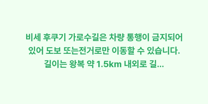오키나와 비세 후쿠기 가로수길 자전거: 비세 후쿠기 가로수길은 차량... (1)