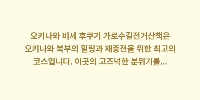오키나와 비세 후쿠기 가로수길 자전거: 오키나와 비세 후쿠기 가로수... (2)