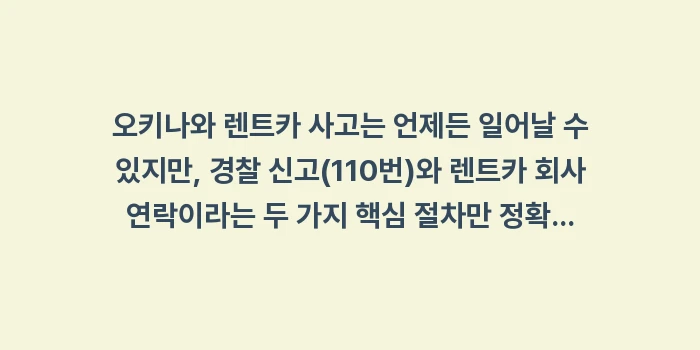 오키나와 렌트카 사고: 오키나와 렌트카 사고는 언제... (1)