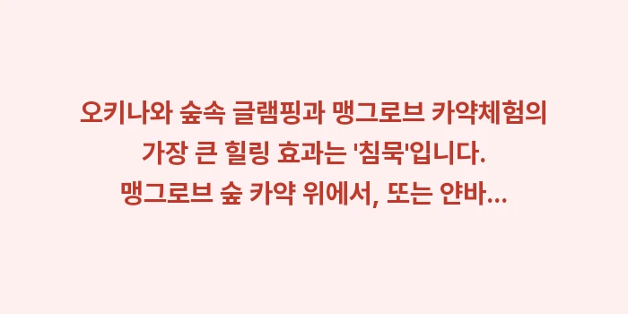 오키나와 숲속 글램핑과 맹그로브 카약: 오키나와 숲속 글램핑과 맹그... (1)