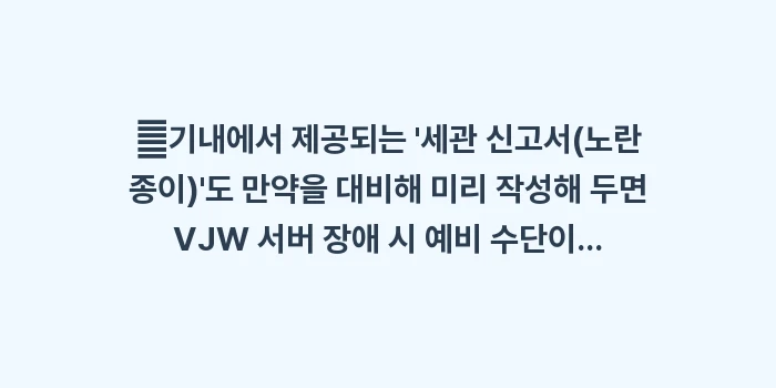 후쿠오카 공항 입국 꿀팁: ✔기내에서 제공되는 세관... (1)