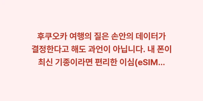 후쿠오카 유심 이심 추천: 후쿠오카 여행의 질은 손안의... (2)