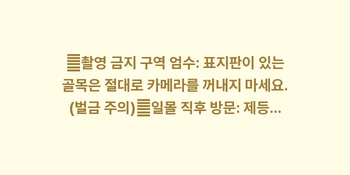 일본 교토 기온 거리: ✔촬영 금지 구역 엄수: 표... (1)