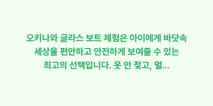 오키나와 글라스 보트 체험: 오키나와 글라스 보트 체험은... (1)