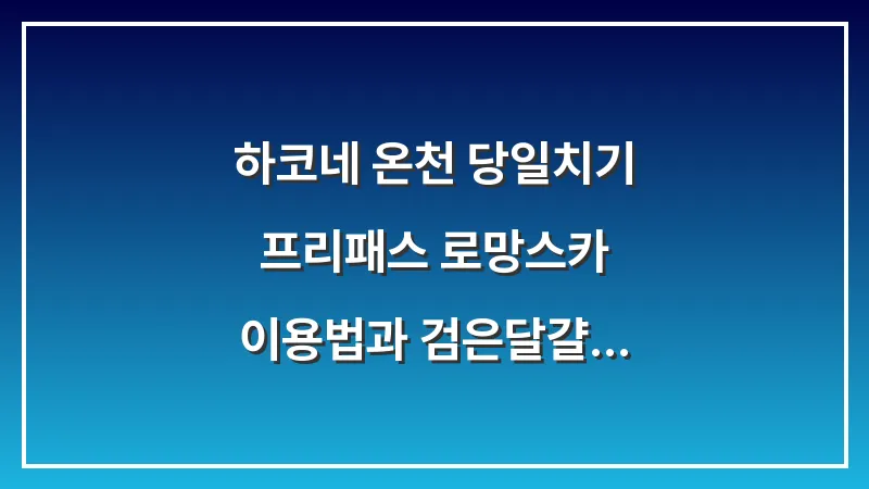 하코네 온천 당일치기: 프리패스 로망스카 이용법과 검은달걀 코스 대표 이미지
