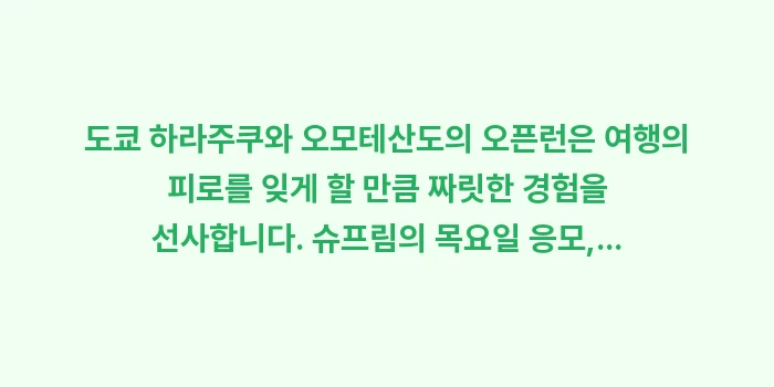 하라주쿠 오모테산도 오픈런: 도쿄 하라주쿠와 오모테산도의... (1)