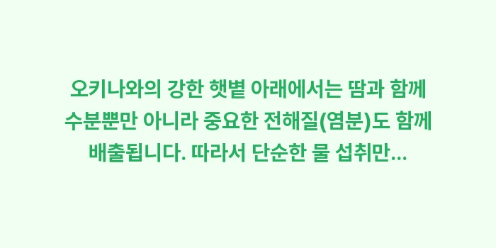 오키나와 일사병 열사병 예방 수칙: 오키나와의 강한 햇볕 아래에... (1)
