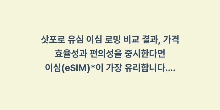 삿포로 유심 이심 로밍 비교: 삿포로 유심 이심 로밍 비교... (2)