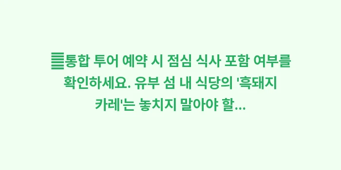 이리오모테 섬 맹그로브 투어: ✔통합 투어 예약 시 점심... (1)