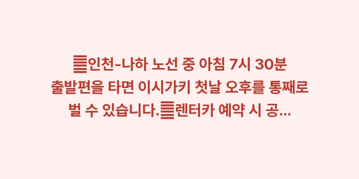 이시가키 3박 4일 여행 일정: ✔인천-나하 노선 중 아침... (1)