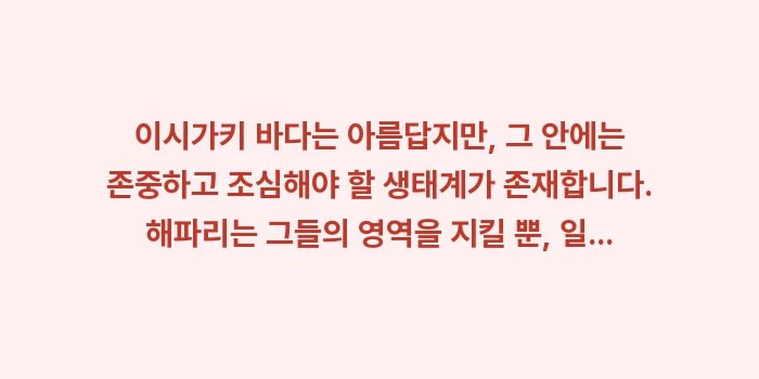 이시가키 해파리: 이시가키 바다는 아름답지만,... (2)