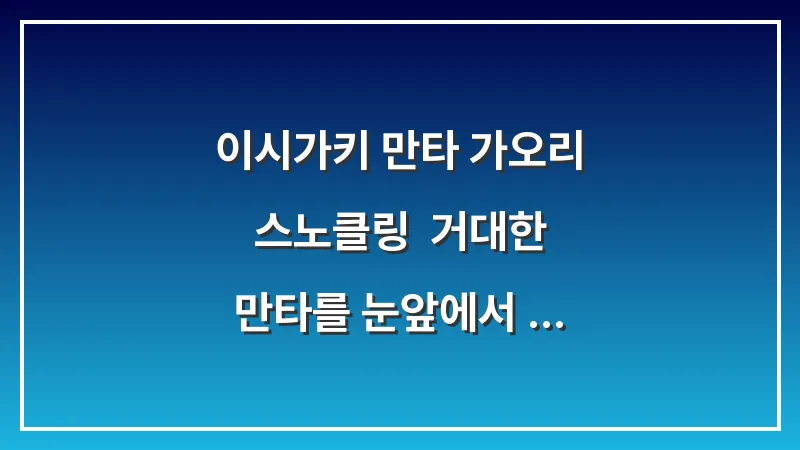이시가키 만타 가오리 스노클링: 거대한 만타를 눈앞에서 보는 투어 (예약, 시즌, 꿀팁) 대표 이미지