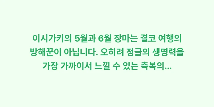 이시가키 5월 6월 장마 여행: 이시가키의 5월과 6월 장마... (2)