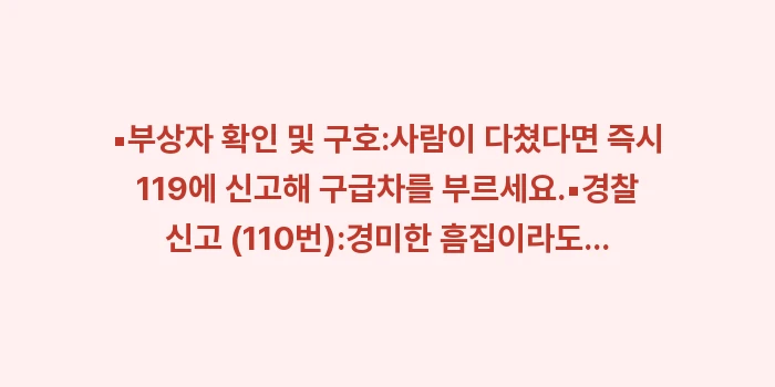 이시가키 렌트카 사고: ▪부상자 확인 및 구호:사람... (1)