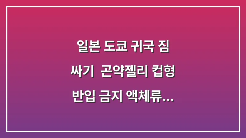 일본 도쿄 귀국 짐 싸기: 곤약젤리 컵형 반입 금지 액체류 규정 총정리 대표 이미지