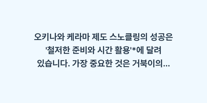 오키나와 케라마 제도 스노클링: 오키나와 케라마 제도 스노클... (1)