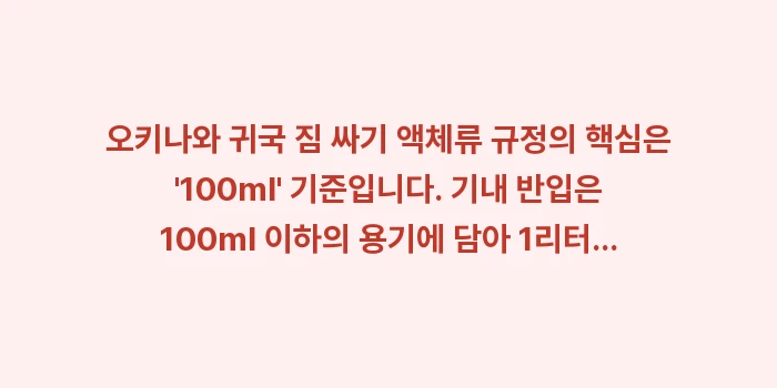 오키나와 귀국 짐 싸기 액체류 규정: 오키나와 귀국 짐 싸기 액체... (2)