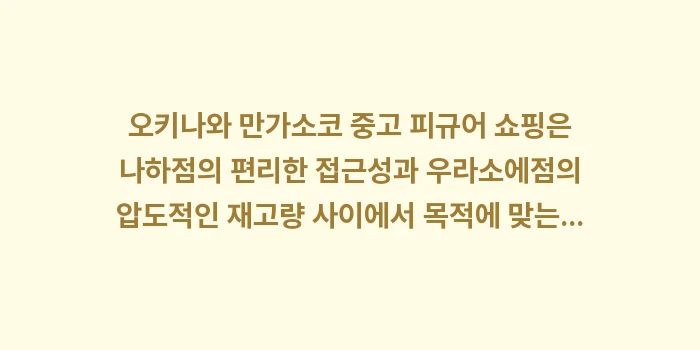 오키나와 만가소코 중고 피규어 쇼핑: 오키나와 만가소코 중고 피규... (2)