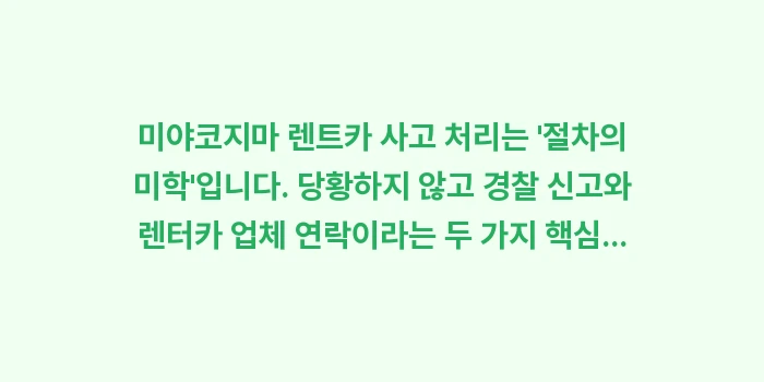 미야코지마 렌트카 사고: 미야코지마 렌트카 사고 처리... (2)