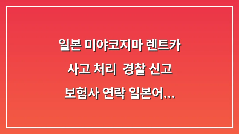 일본 미야코지마 렌트카 사고 처리: 경찰 신고 보험사 연락 일본어 대표 이미지