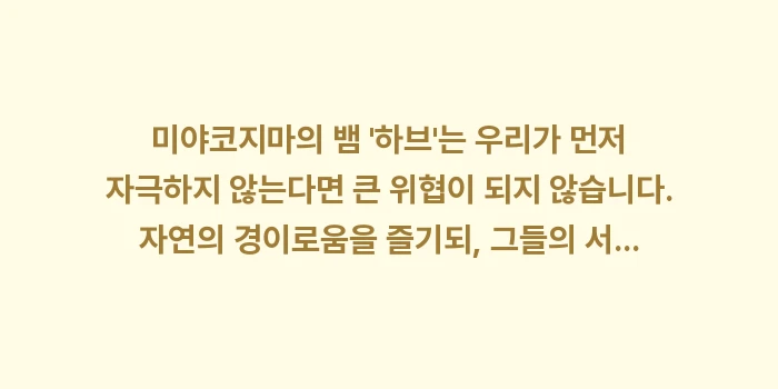 미야코지마 뱀 하브: 미야코지마의 뱀 하브는... (2)