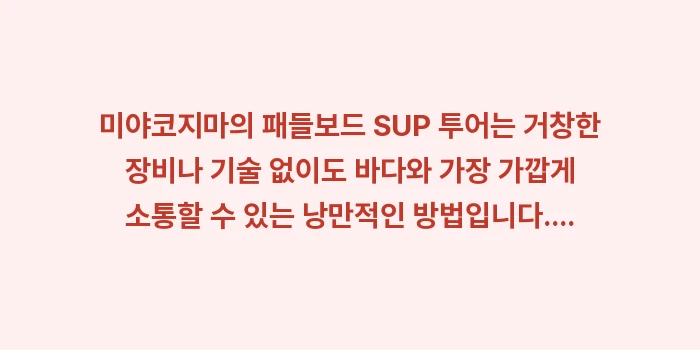 미야코지마 패들보드: 미야코지마의 패들보드 SUP... (2)