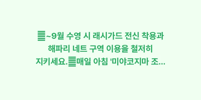 미야코지마 여행 안전: ✔~9월 수영 시 래시가드... (1)