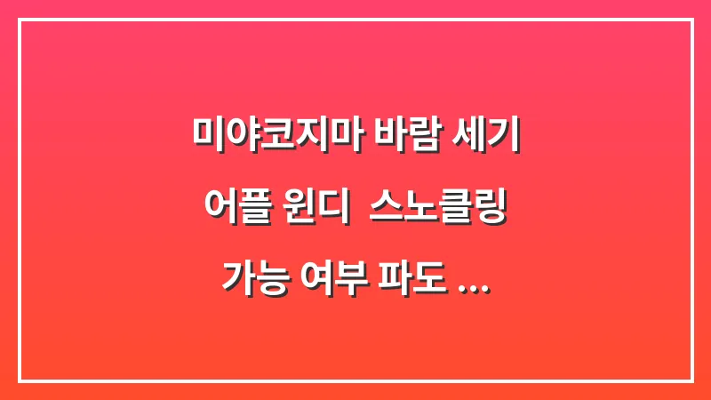 미야코지마 바람 세기 어플 윈디: 스노클링 가능 여부 파도 확인 대표 이미지
