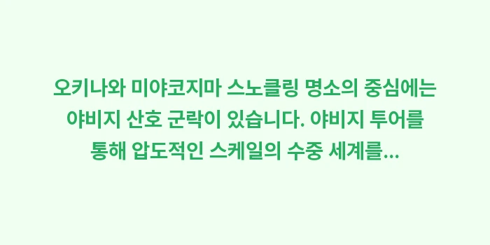 오키나와 미야코지마 스노클링 명소: 오키나와 미야코지마 스노클링... (2)