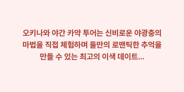 오키나와 야간 카약 투어: 오키나와 야간 카약 투어는... (1)