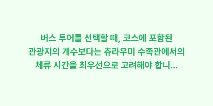 오키나와 북부 버스 투어: 버스 투어를 선택할 때, 코... (1)