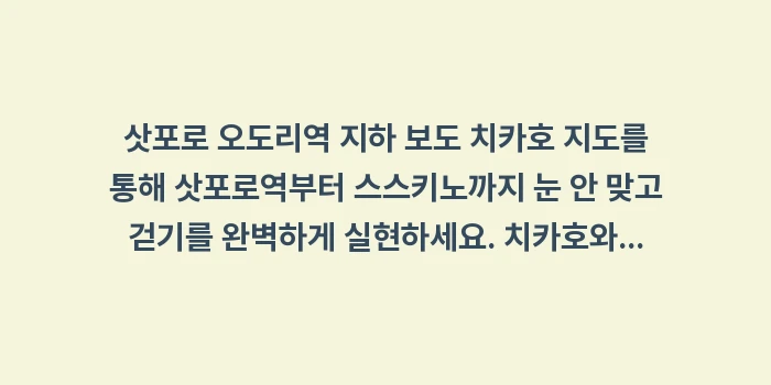 삿포로 오도리역 지하 보도 치카호 지도: 삿포로 오도리역 지하 보도... (2)