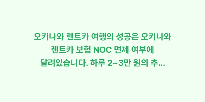 오키나와 렌트카 보험 NOC: 오키나와 렌트카 여행의 성공... (1)