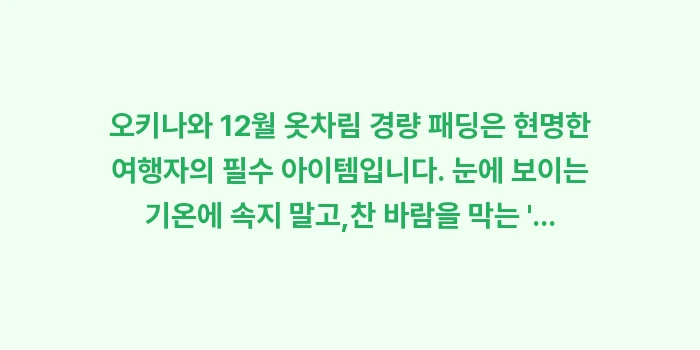 오키나와 12월 옷차림 경량 패딩: 오키나와 12월 옷차림 경량... (1)