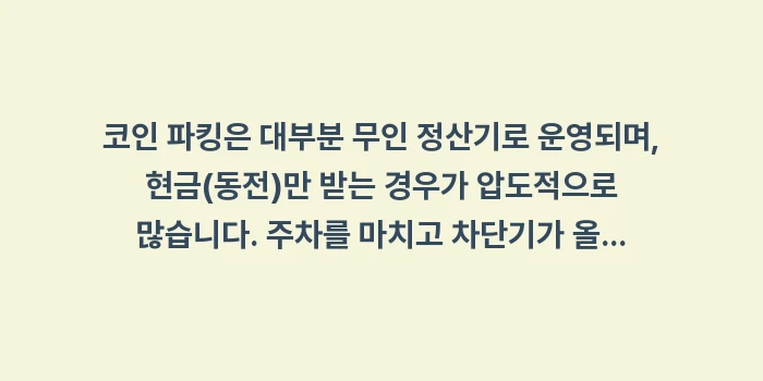 오키나와 렌트카 운전 에티켓: 코인 파킹은 대부분 무인 정... (1)