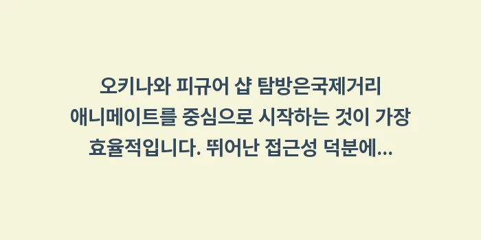 오키나와 피규어 샵 애니메이트: 오키나와 피규어 샵 탐방은국... (1)