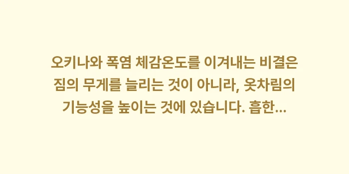 오키나와 폭염 체감온도: 오키나와 폭염 체감온도를 이... (2)