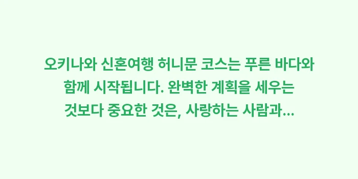 오키나와 신혼여행 허니문 코스: 오키나와 신혼여행 허니문 코... (2)