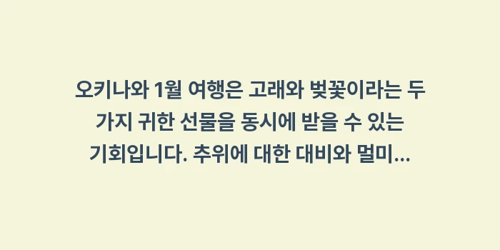 오키나와 1월 여행: 오키나와 1월 여행은 고래와... (1)