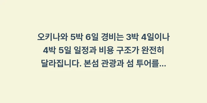 오키나와 5박 6일 경비: 오키나와 5박 6일 경비는... (1)