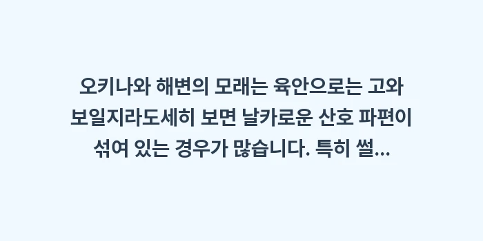 오키나와 여행 필수 준비물: 오키나와 해변의 모래는 육안... (1)
