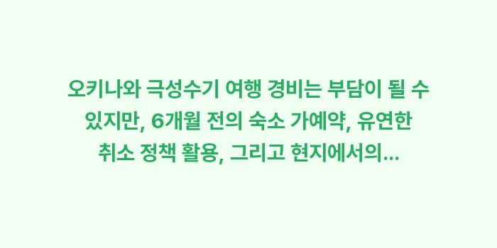 오키나와 극성수기 여행 경비: 오키나와 극성수기 여행 경비... (1)