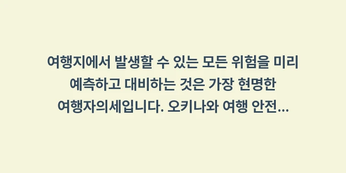 오키나와 여행 안전 가이드: 여행지에서 발생할 수 있는... (2)