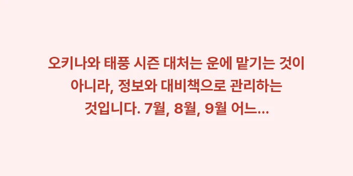 오키나와 태풍 시즌 대처: 오키나와 태풍 시즌 대처는... (1)